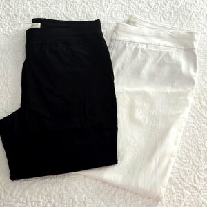 Talbots Casual Dress Pants 2 pair Pullon Pants size 16